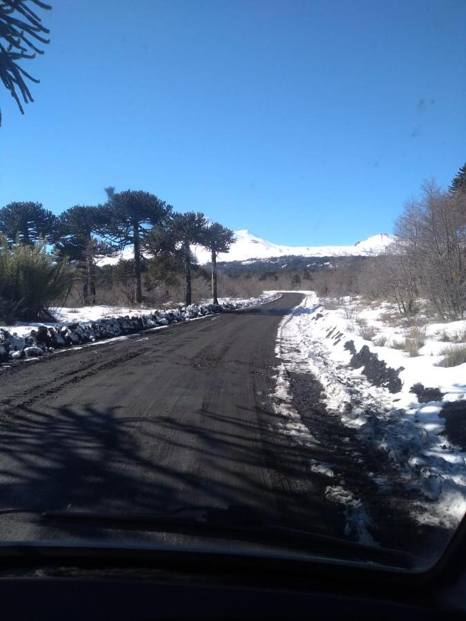Holiday home Carpinteros, Conguillio, Sector Paraguas Vilcun